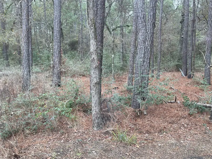 lot 20 Hackberry Drive, Plantersville, TX 77363 - Image #2