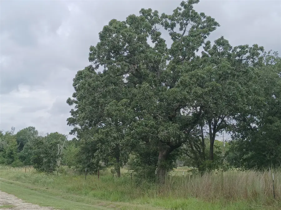 000 Fieldstone Lane, Bedias, TX 77831 - Image #3