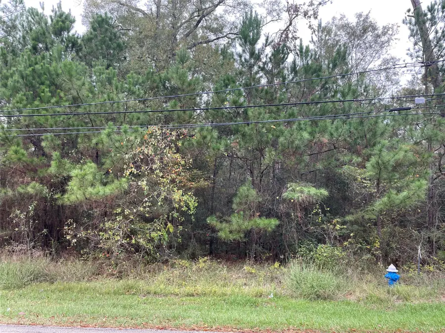 000 Big Deer Drive, Crosby, TX 77532 - Image #3