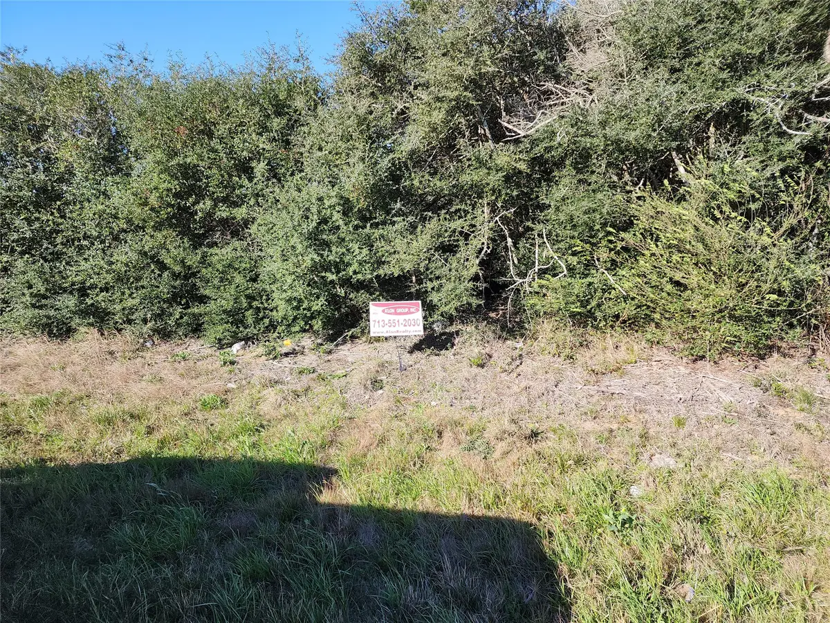 0 Oleander, Waller, TX 77484 - #1
