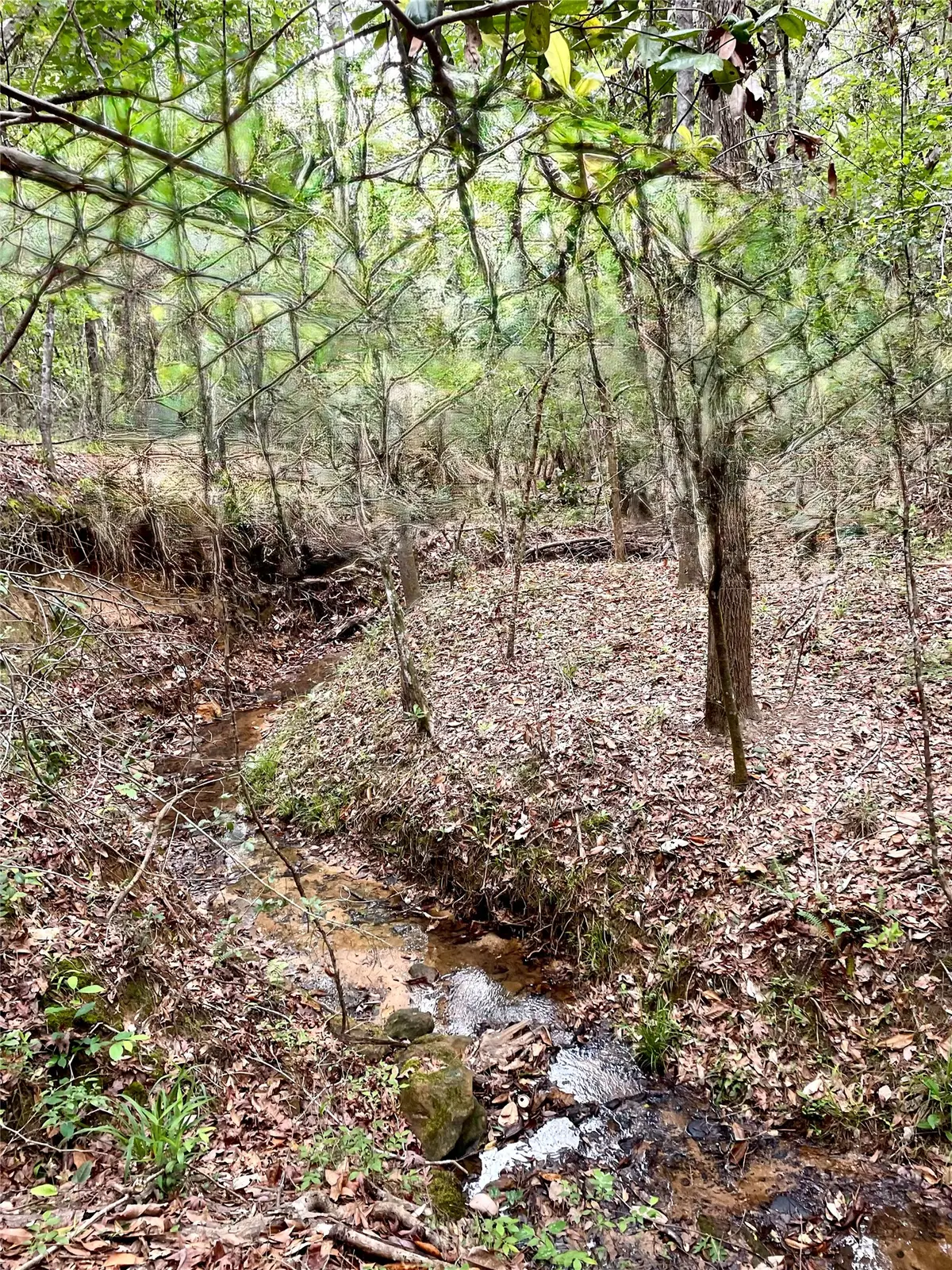 TBD Tony Peebles Road, Livingston, TX 77351 - #1