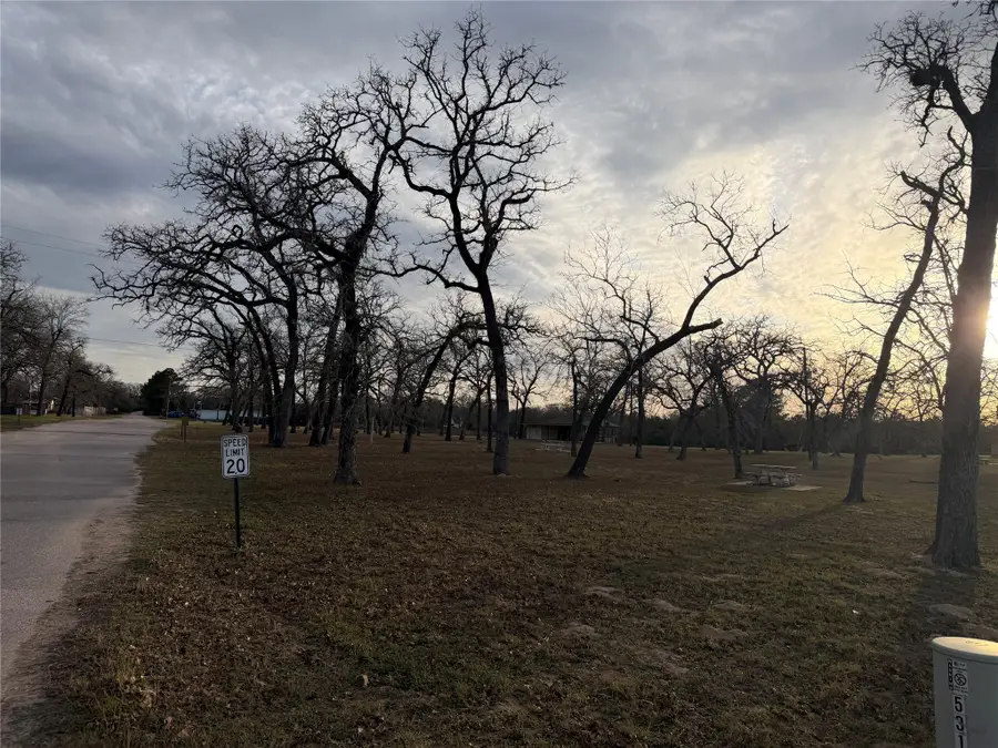 26667 Deerwood Drive, Hempstead, TX 77445 - #2