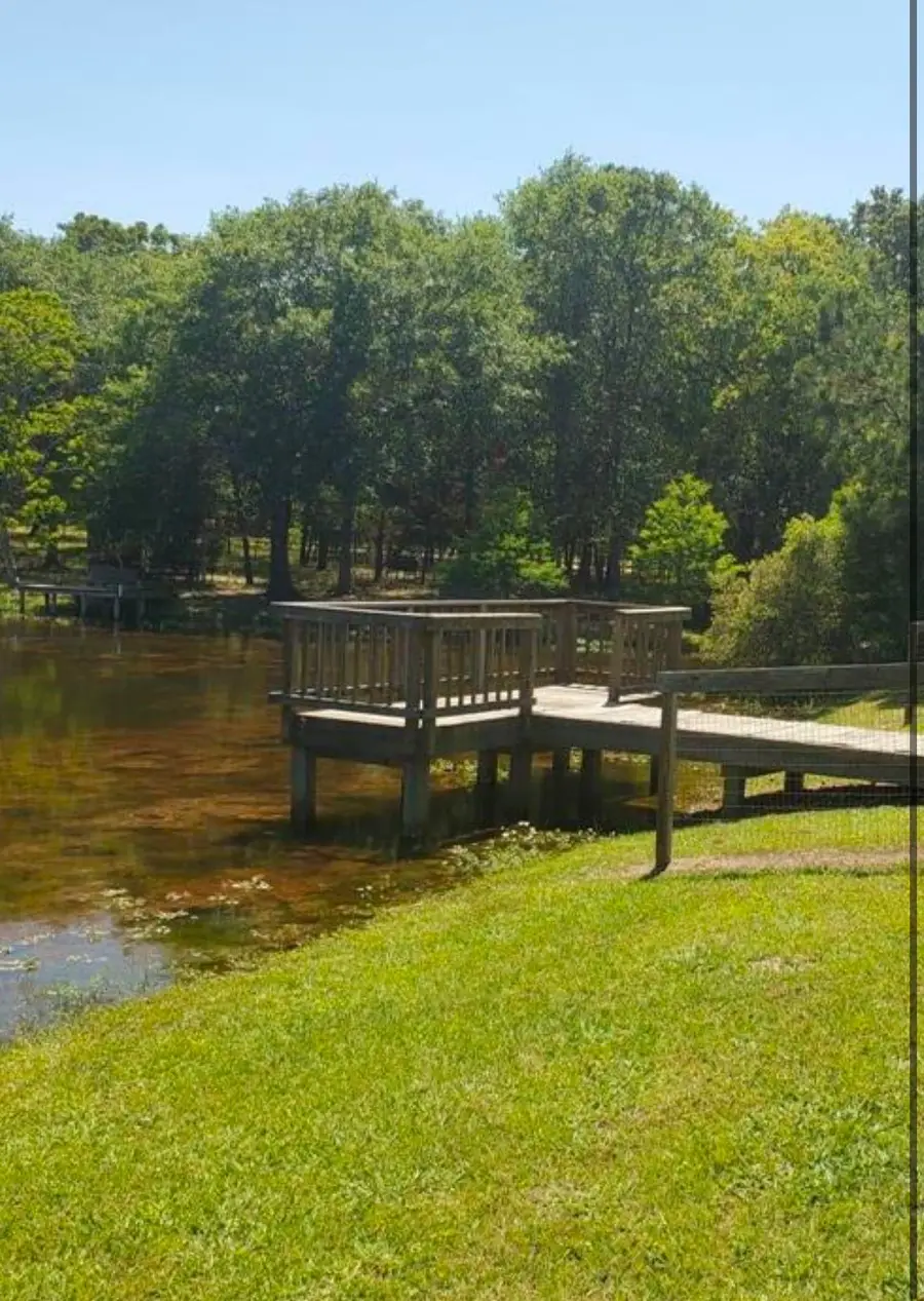 000 Armadillo And Doe, Hempstead, TX 77445 - #3