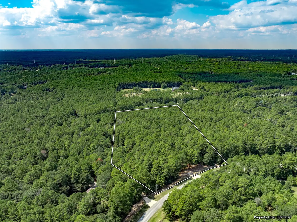 17526 E Terrace Oaks Drive, Waller, TX 77484 - Image #1