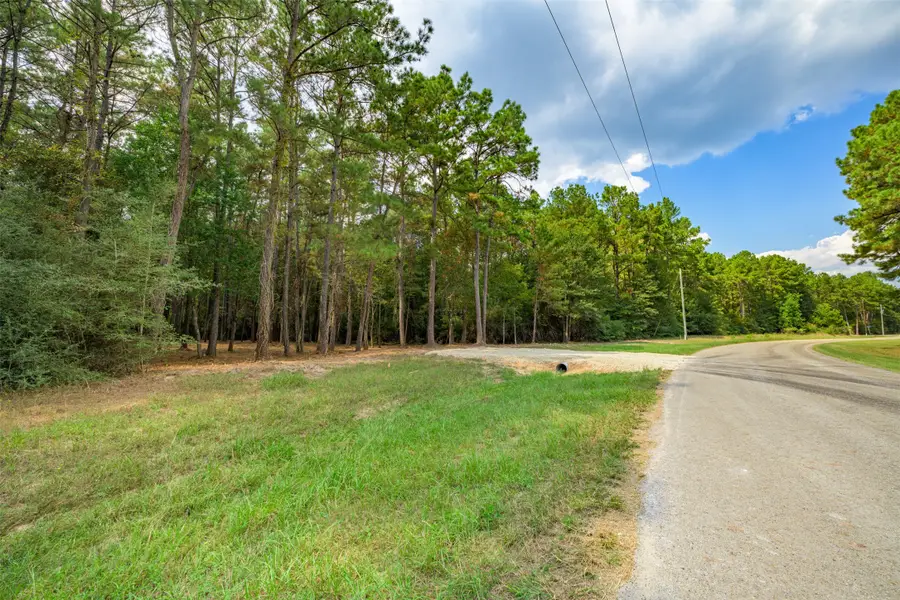 17526 E Terrace Oaks Drive, Waller, TX 77484 - Image #2