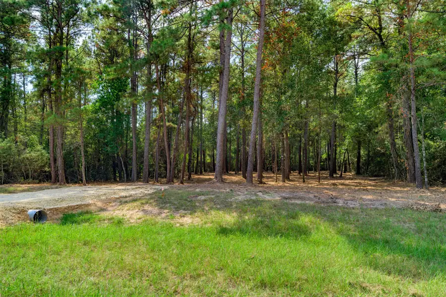 17526 E Terrace Oaks Drive, Waller, TX 77484 - Image #3