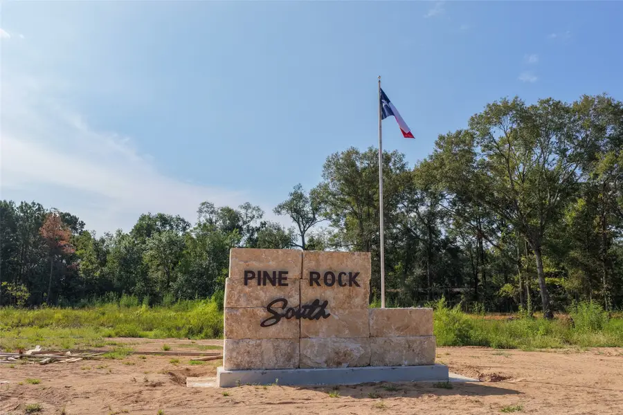 17710 Flagstone Way, Conroe, TX 77306 - #2