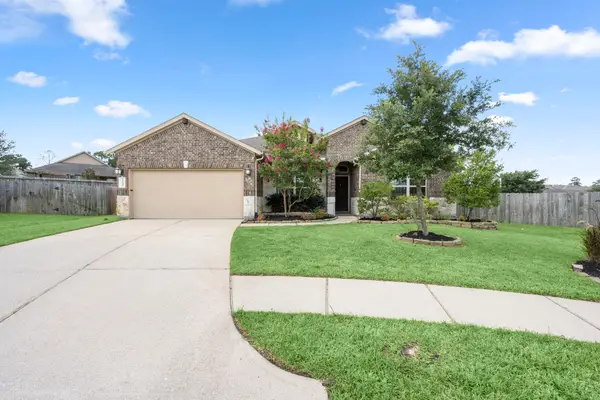 14305 Sawtooth Forest Court, Conroe, TX 77384