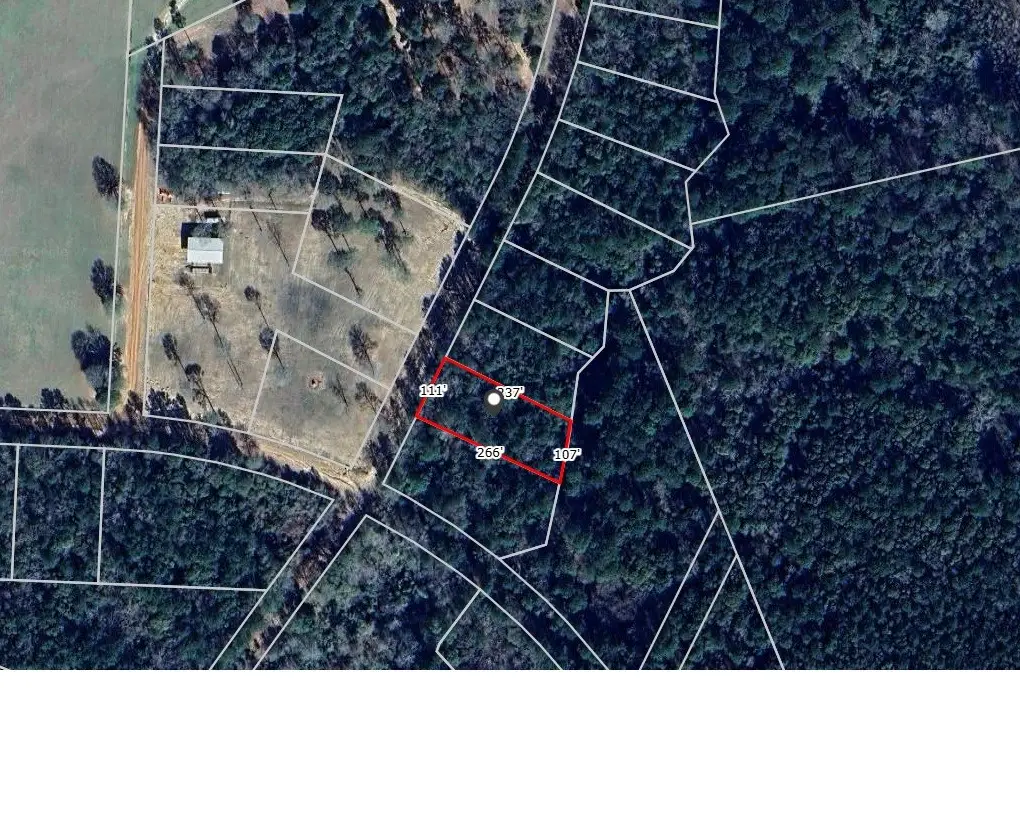 TBD Blakely Lane, Shepherd Evergreen, TX 77328 - Image #1