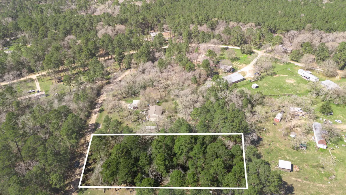N/A Blue Lake Drive, Plantersville, TX 77363 - Image #1