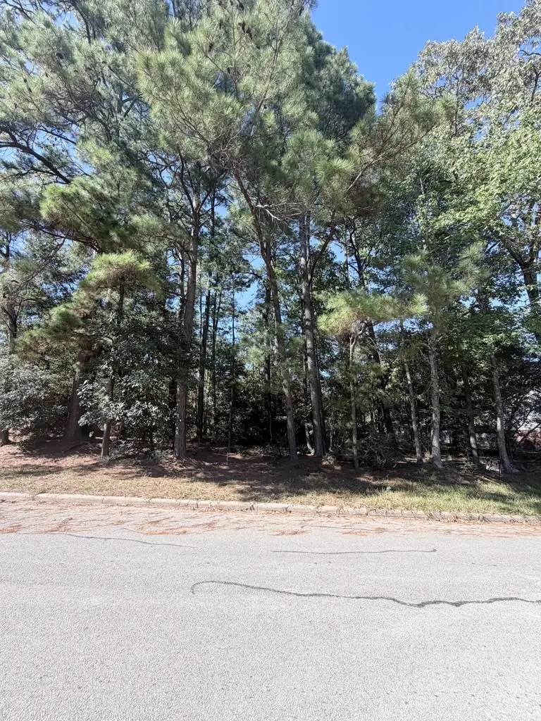 1936 Greentree Drive, Huntsville, TX 77340 - #1