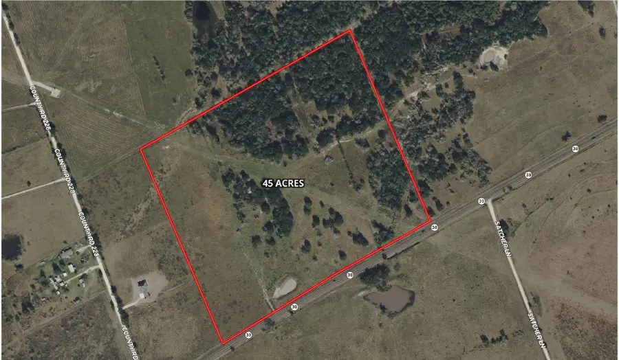 45 Acres Hwy 30, Bedias, TX 77831 - #3