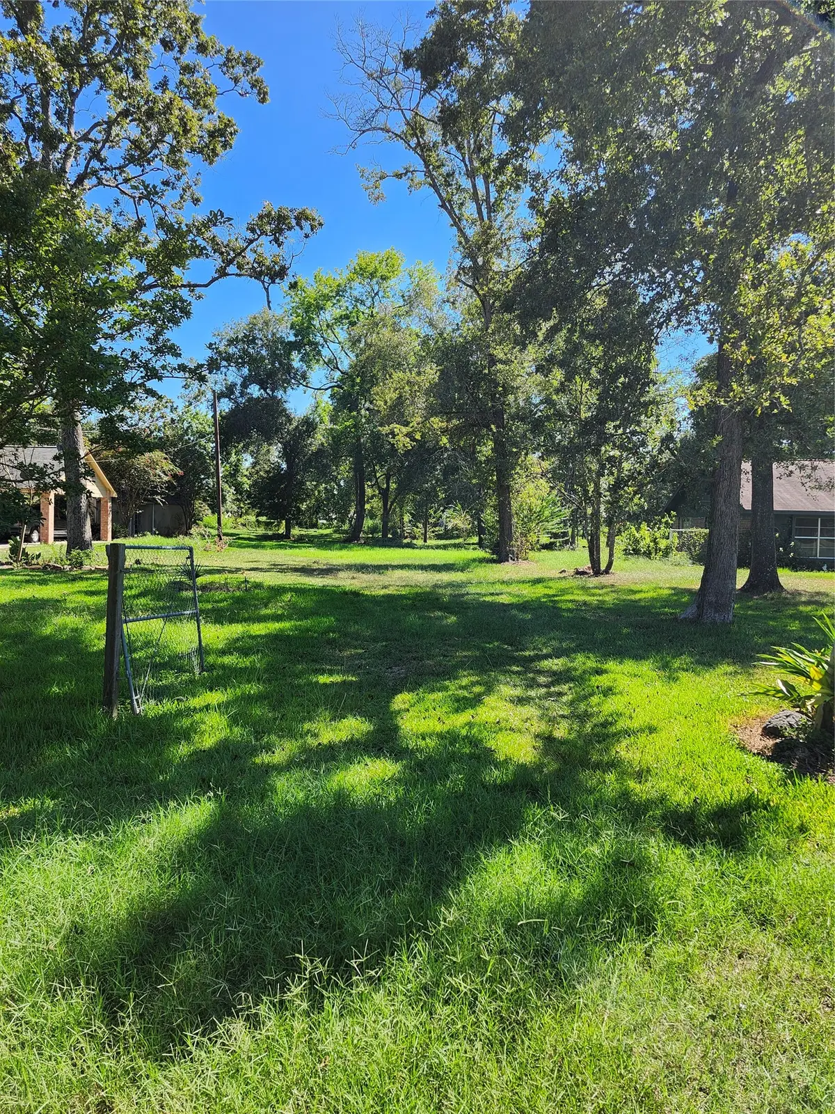 Lot 244 Holly Street, Porter, TX 77365 - #1