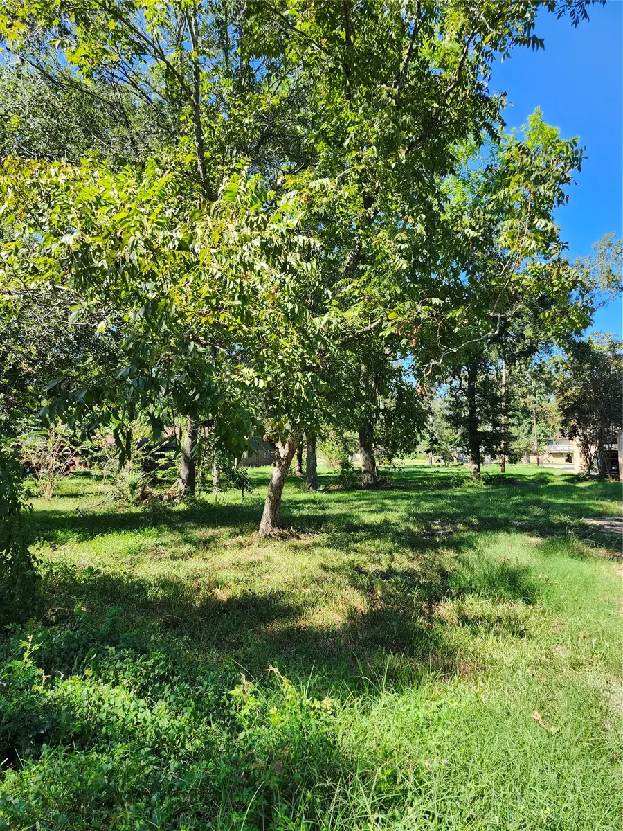 Lot 244 Holly Street, Porter, TX 77365 - #3