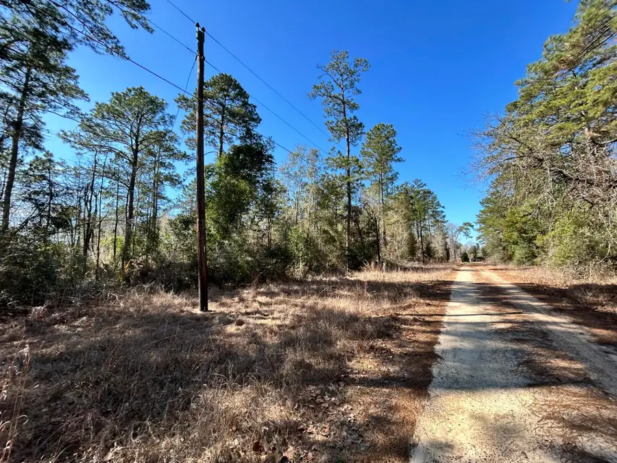 Lot 8 Sir Ewaine Drive, Ivanhoe, TX 75979 - #3