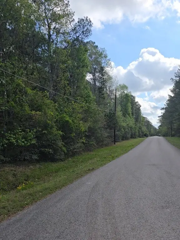 0 N Mill Dr, Magnolia, TX 77354 - #3