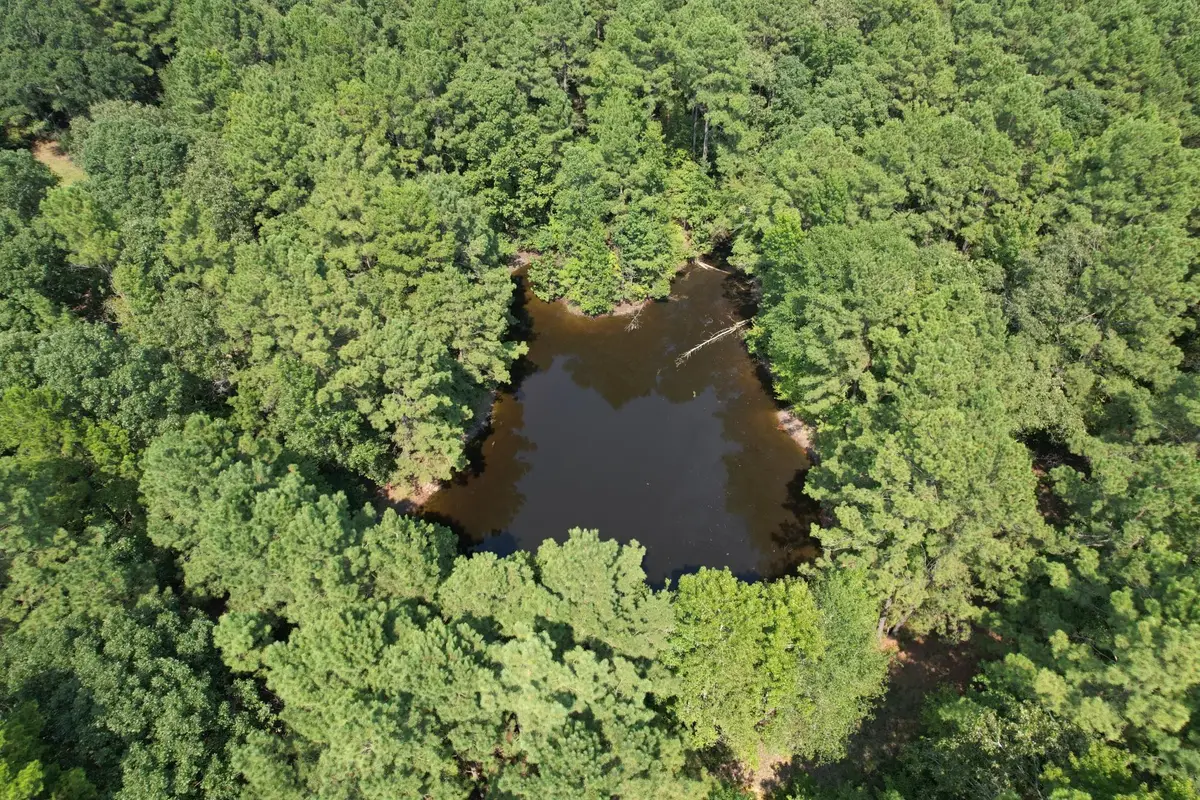 TBD County Road 283, Garrison, TX 75946 - Image #1