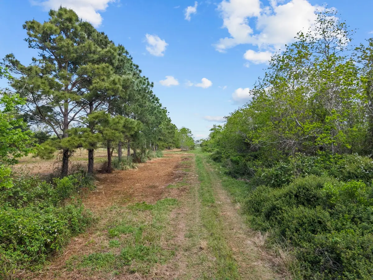 4700 Starboard Lane, Dickinson, TX 77539 - #1