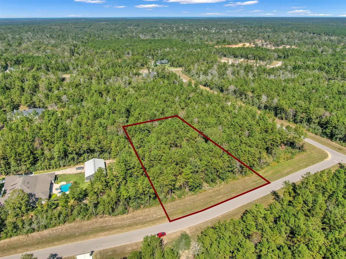 10515 Chapter Drive, Willis, TX 77378 - #1