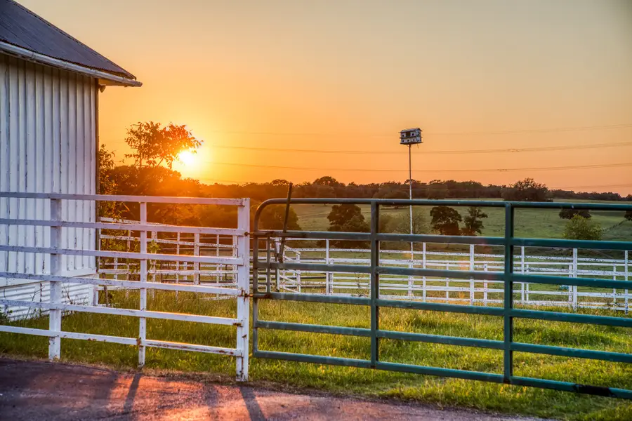 Lot 7000 S Fm 332 S, Brenham, TX 77833 - #3