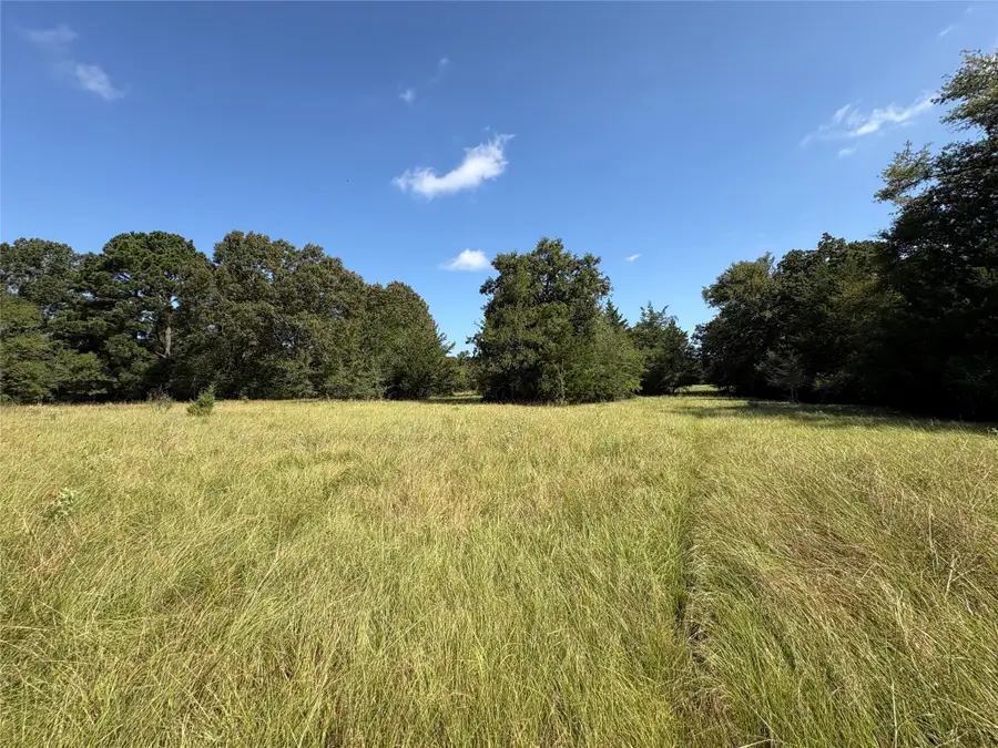 TBD Fm-247, Midway, TX 75852 - #3