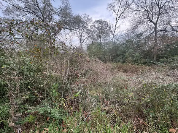 0 N Bonnie Lake Dr, Hempstead, TX 77445