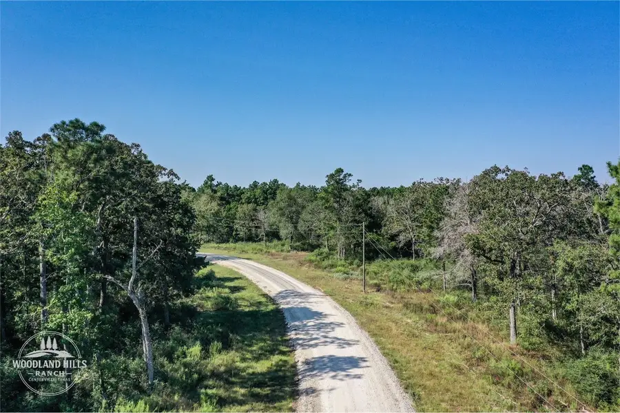 10 Acres Lot 81 Woodland Hills Ranch, Centerville, TX 75833 - #2