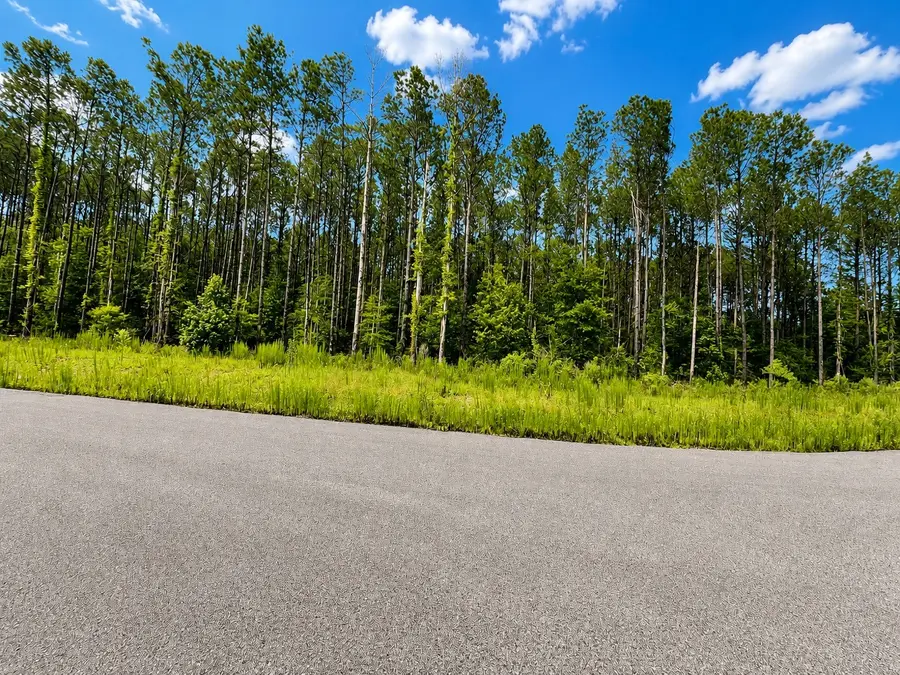 5041 Road 66114, Dayton, TX 77535 - #3