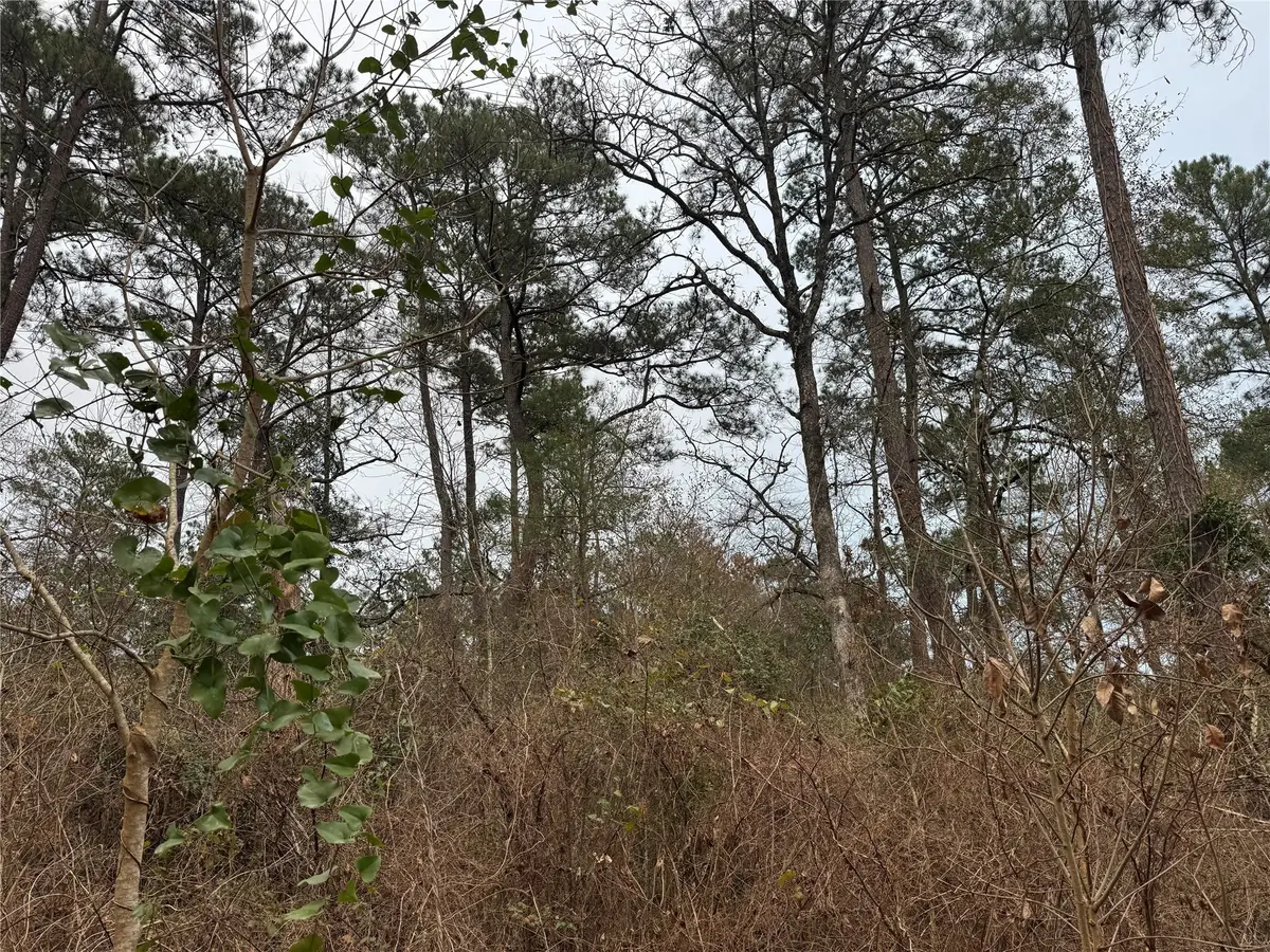 13475 White Oak Drive, Plantersville, TX 77363 - #1