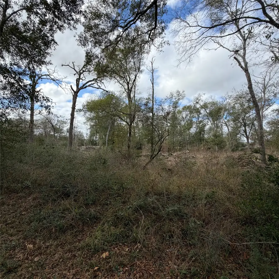 25028 Leitrim Street, Hempstead, TX 77445 - #2