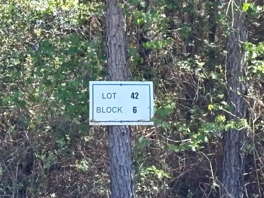 11849 Moss Grove Court, Willis, TX 77378 - #2