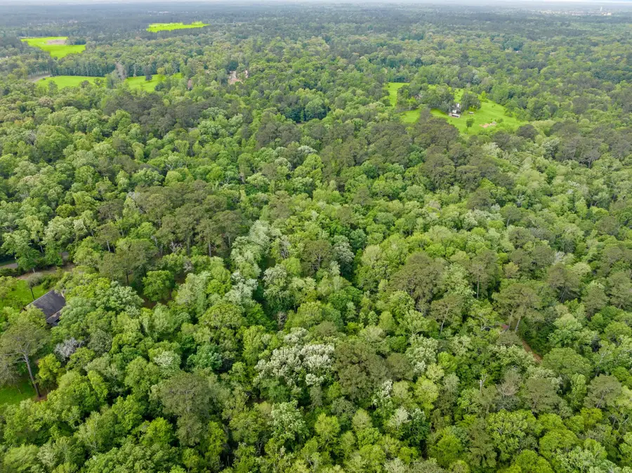 17960 Dogwood Drive, Conroe, TX 77303 - Image #3