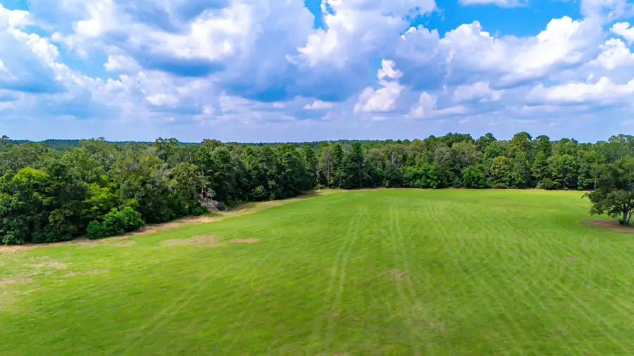 000 S Us Highway 96, San Augustine, TX 75972 - #3