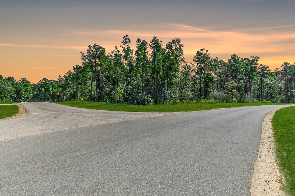 10711 Ruger Road, Willis, TX 77378 - #1