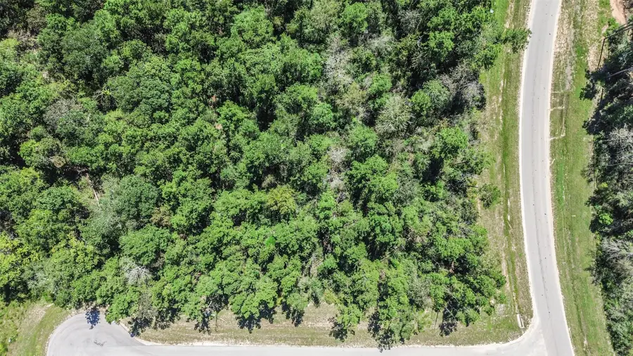 10711 Ruger Road, Willis, TX 77378 - #3