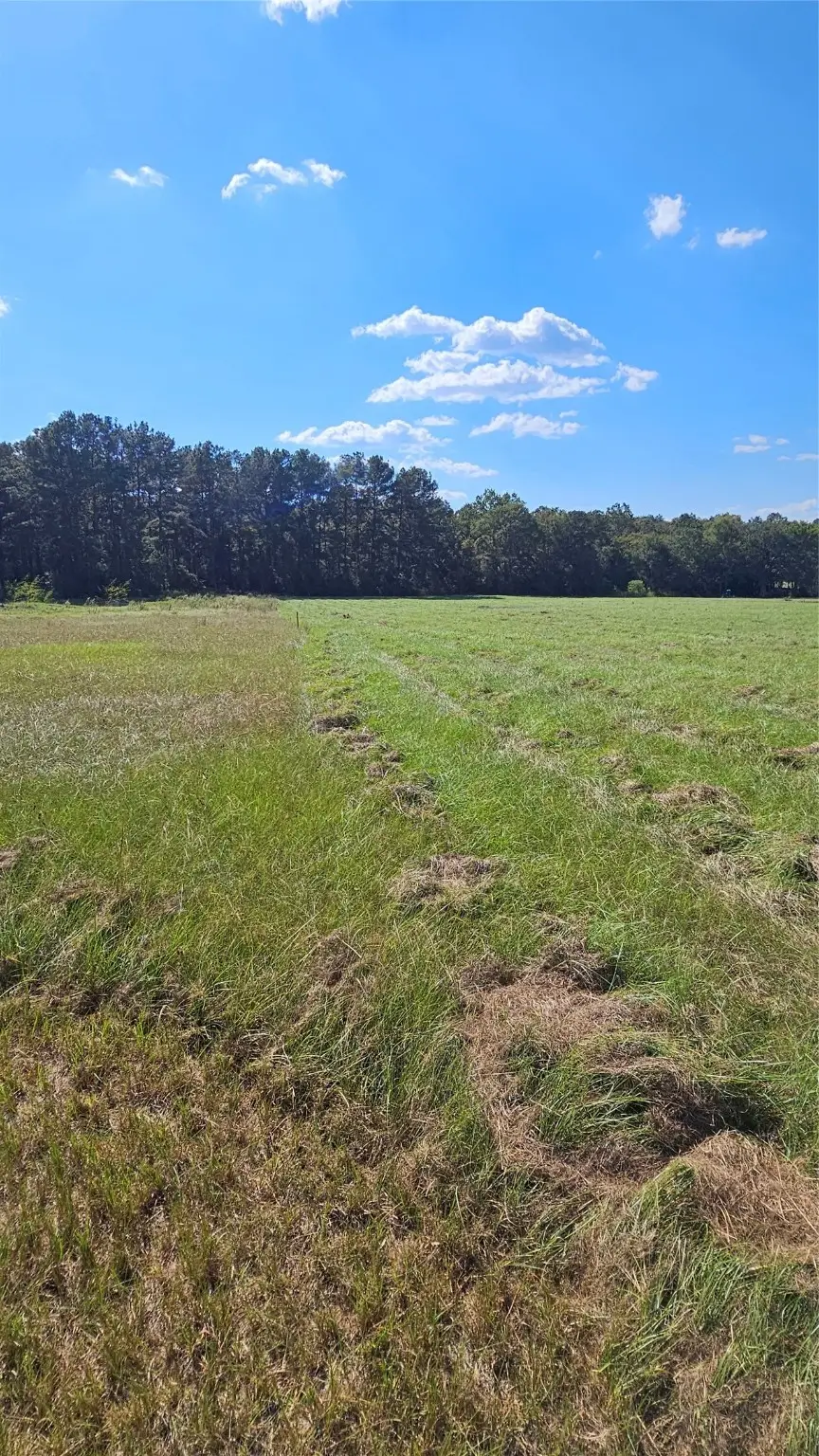 TBD Hawthorne Road N, New Waverly, TX 77358 - Image #1