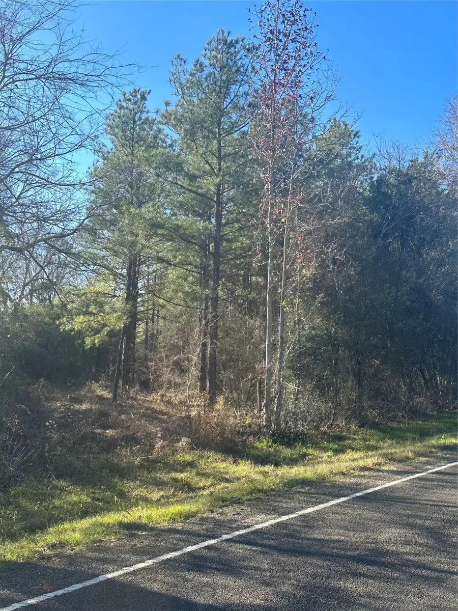 358 Holcombe Road, Groveton, TX 75845 - Image #2