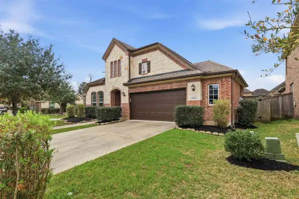 22503 Birch Ridge Meadow Drive, Spring, TX 77389