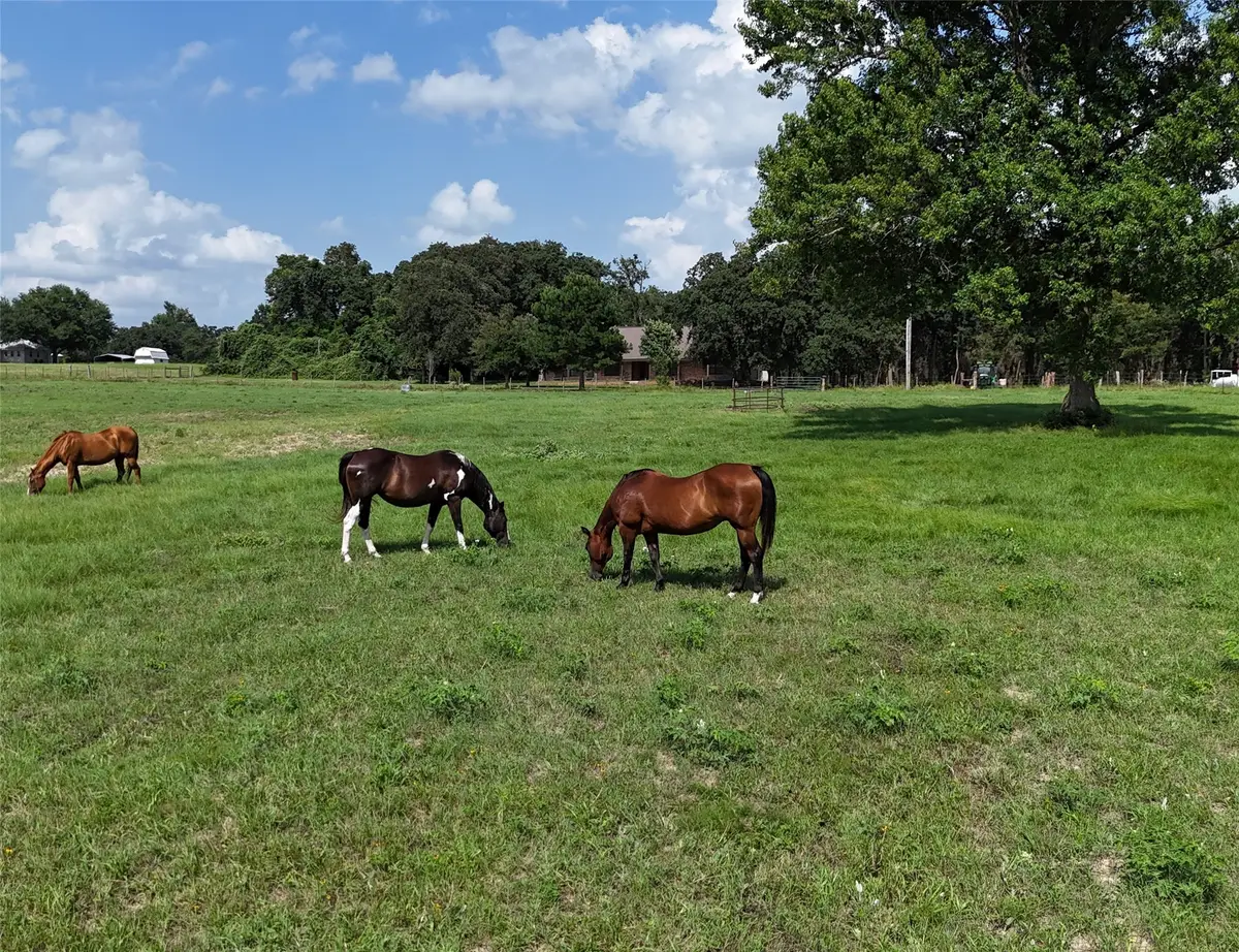 4952 Fm 3091, Madisonville, TX 77864 - #1
