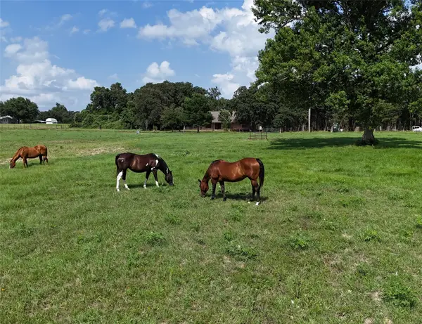 4952 Fm 3091, Madisonville, TX 77864