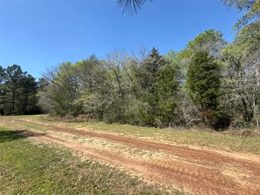 26842 Eagle Drive, Hempstead, TX 77445 - #3