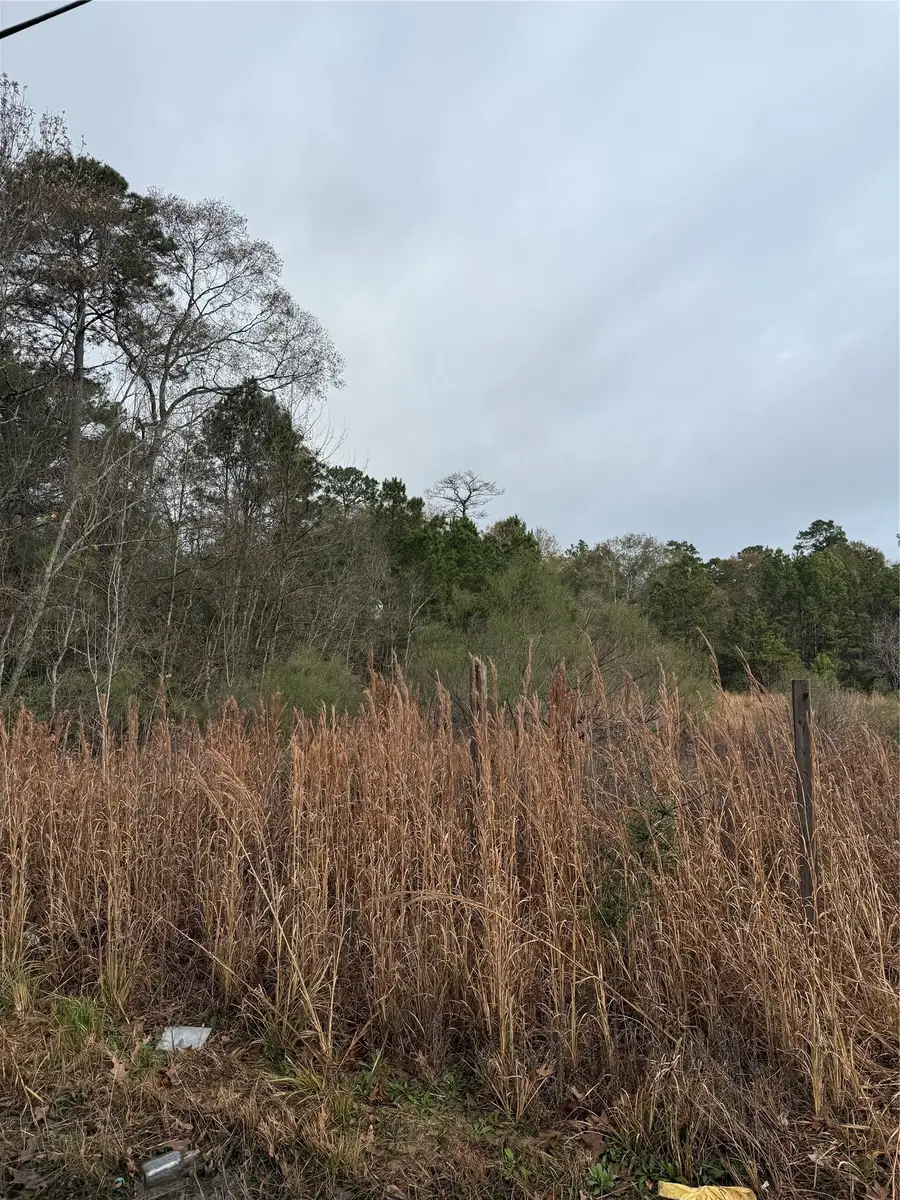 TBD River E, Splendora, TX 77372 - Image #2