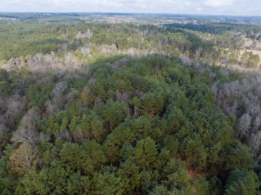 19423 Highway 190 E, Livingston, TX 77351 - Image #3