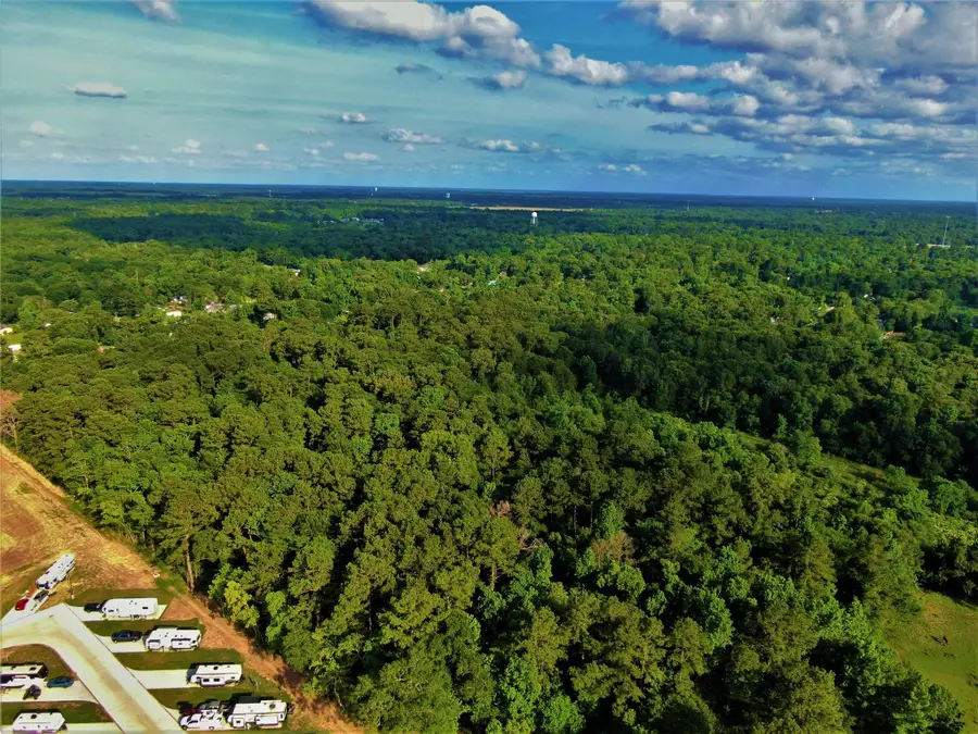 Tr 12 & 26 Glendale Road, Porter, TX 77365 - #2