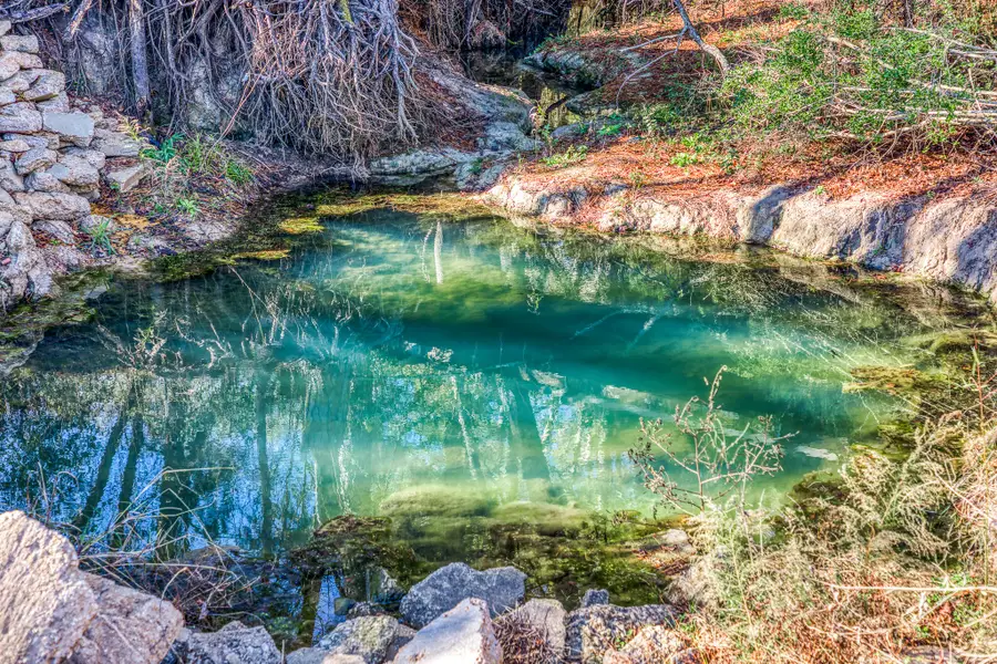 25450 Moore Lane, Montgomery, TX 77356 - Image #3