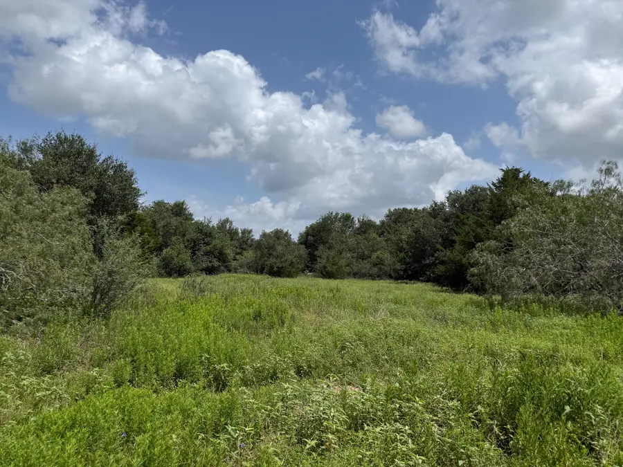 1359 County Road 208, Weimar, TX 78962 - #3