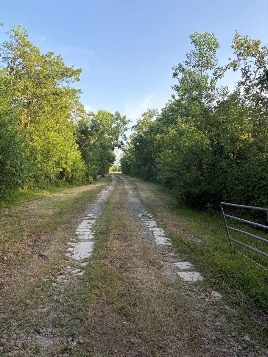 6301 Rice Road, Texas City, TX 77539 - #2