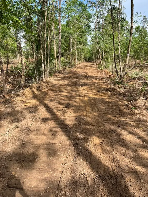 TBD Private Road 8327, Woodville, TX 75979