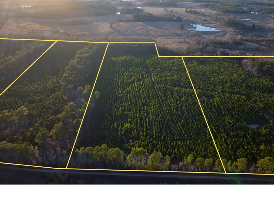 T-3 Cr 4415, Annona Avery, TX 75559 - Image #2