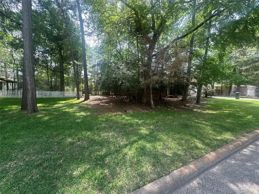 11331 Burning Tree Drive, Montgomery, TX 77356 - #3